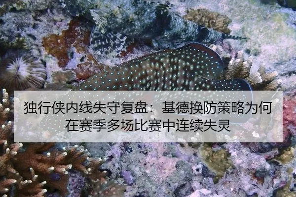 独行侠内线失守复盘：基德换防策略为何在赛季多场比赛中连续失灵